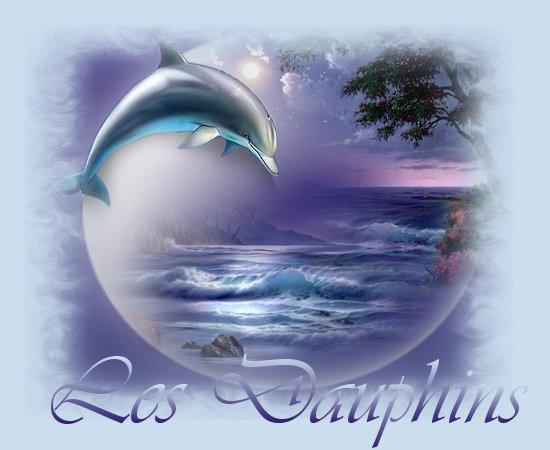 saut de dauphin