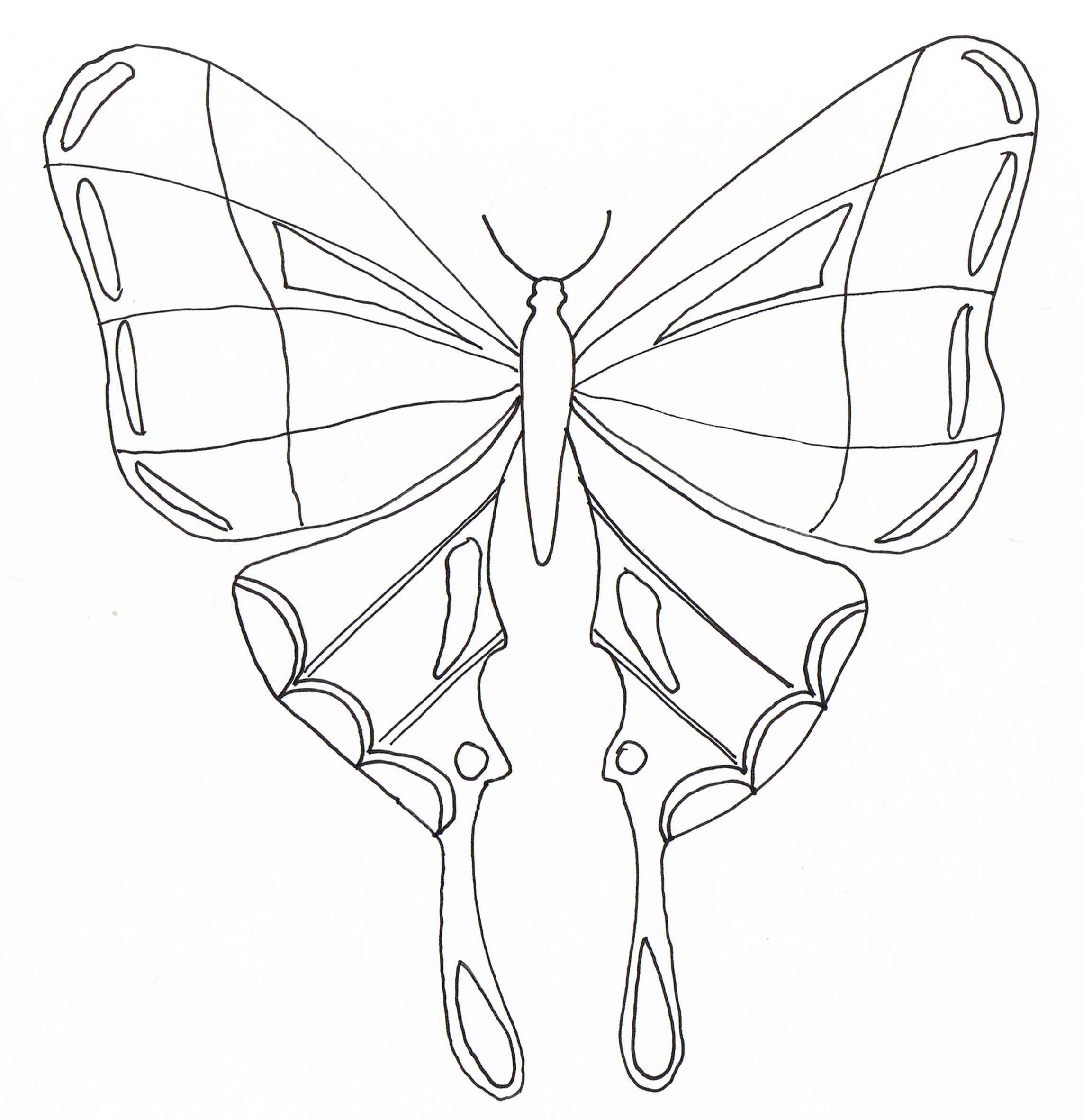 coloriage papillon